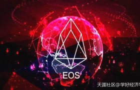 EOS柚子币的发展历程