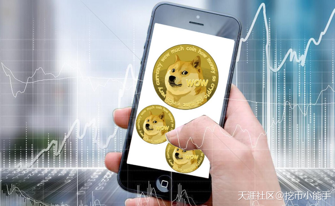 马斯克看好的狗狗币狗狗币,未来市值能否超越比特币?