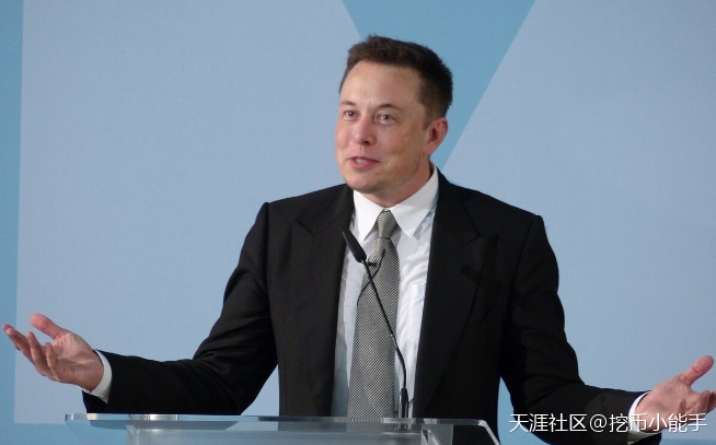 马斯克看好的狗狗币狗狗币,未来市值能否超越比特币?