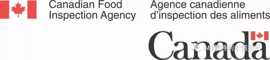 狗狗币我家狗狗移民记——加拿大机场的一次奇遇