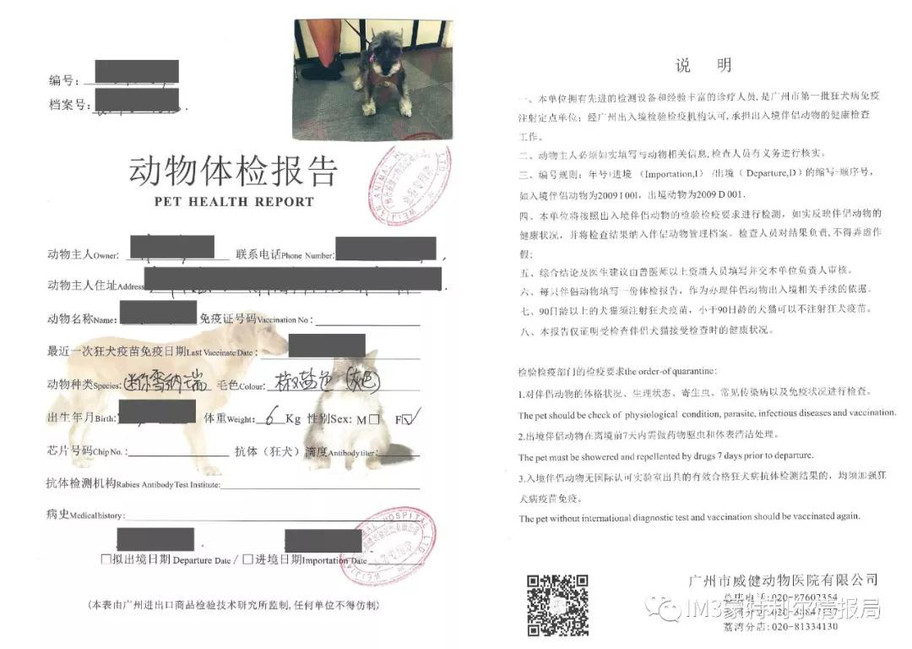 狗狗币我家狗狗移民记——加拿大机场的一次奇遇