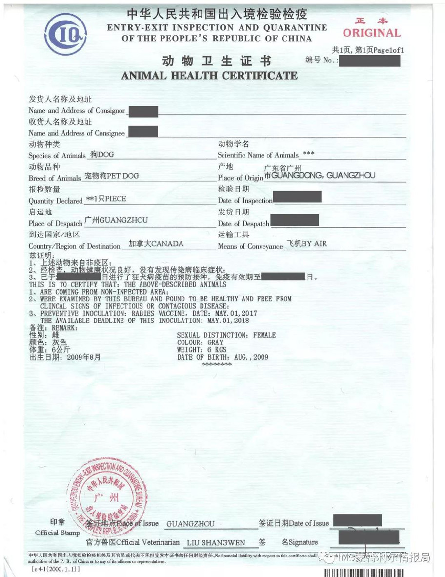 狗狗币我家狗狗移民记——加拿大机场的一次奇遇