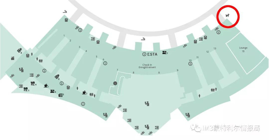 狗狗币我家狗狗移民记——加拿大机场的一次奇遇