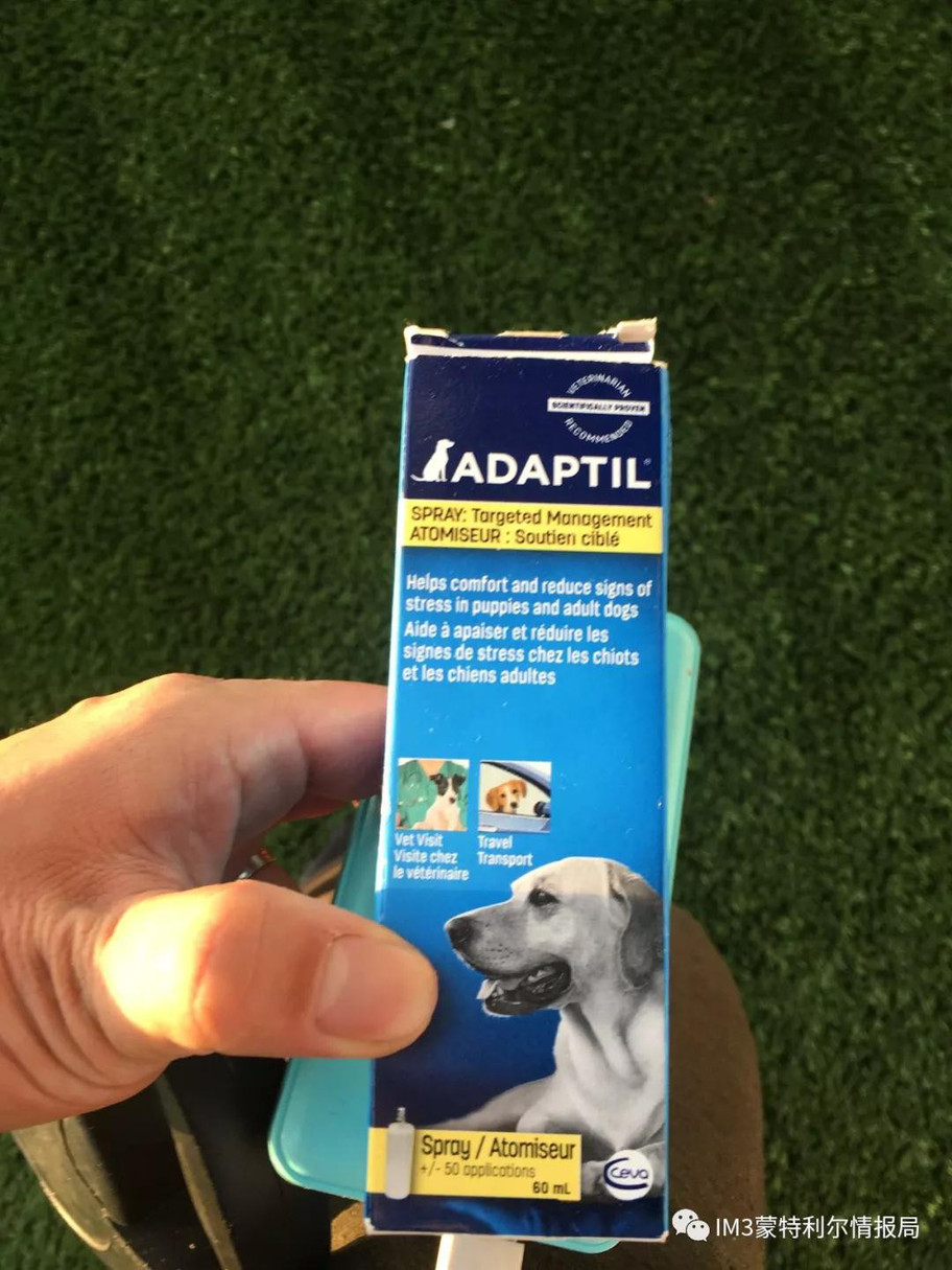 狗狗币我家狗狗移民记——加拿大机场的一次奇遇