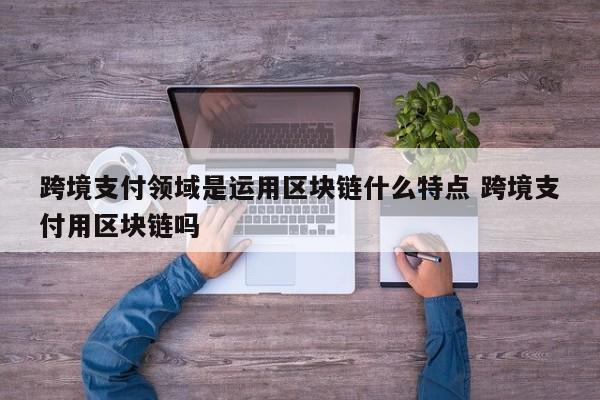 跨境支付领域是运用区块链什么特点 跨境支付用区块链吗